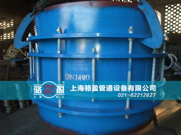 ��ڏ������s������