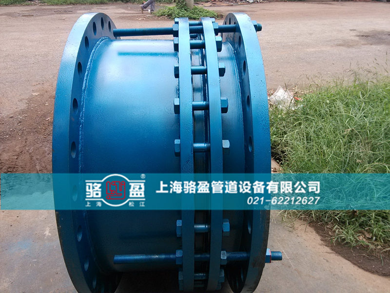 �����s��չʾ